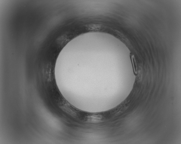 X0000073830525200609071518