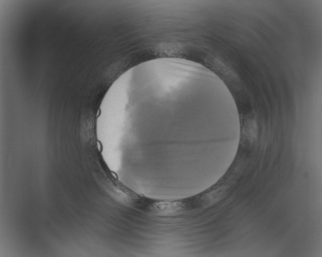 X0000073830526200609071518