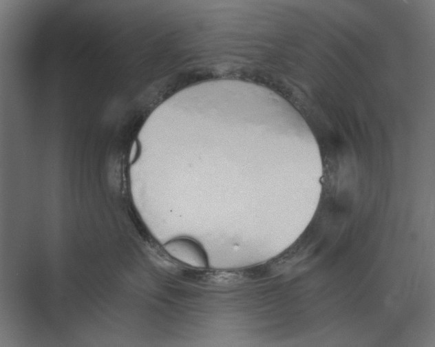 X0000073830527200609071518