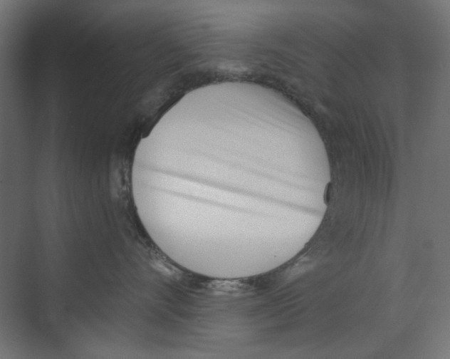 X0000073830528200609071518