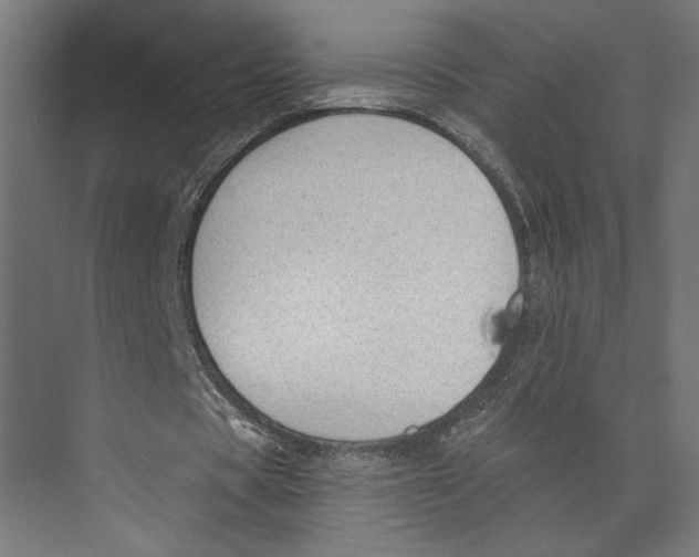 X0000073830529200609071517