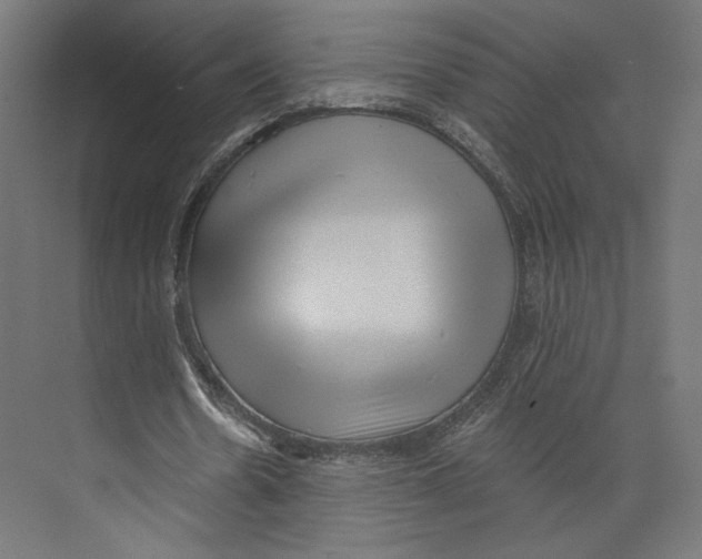 X0000073830530200609071517