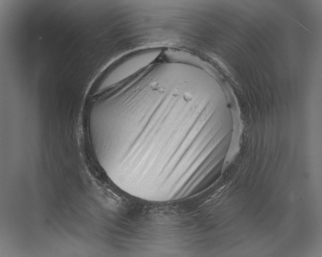 X0000073830532200609071517