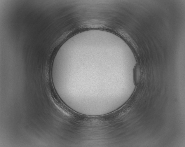 X0000073830533200609071517