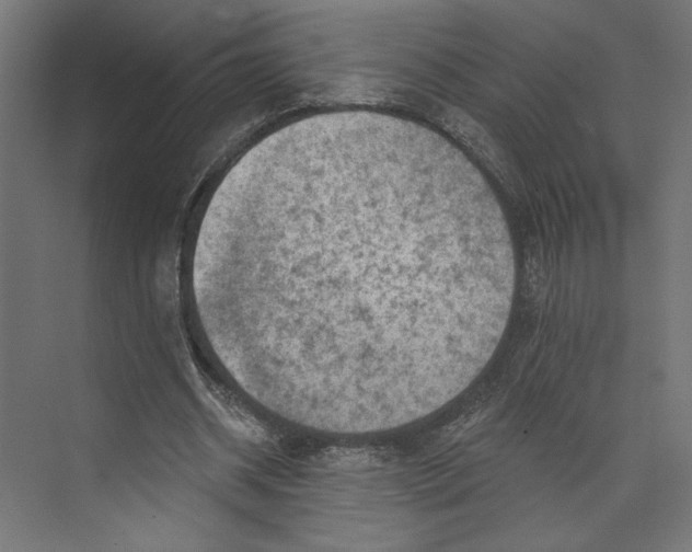 X0000073830534200609071517