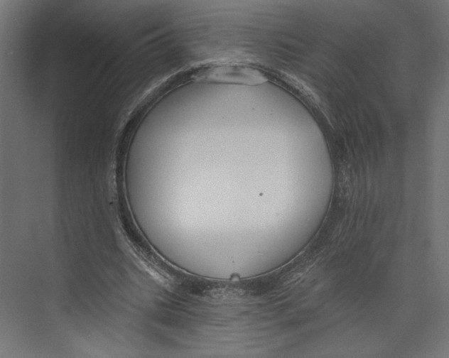 X0000073830535200609071517