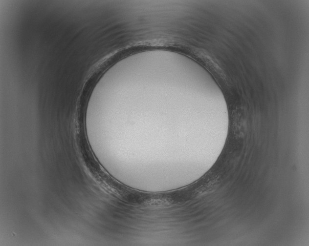 X0000073830536200609071517