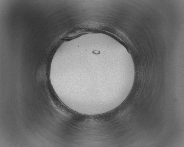 X0000073830538200609071517