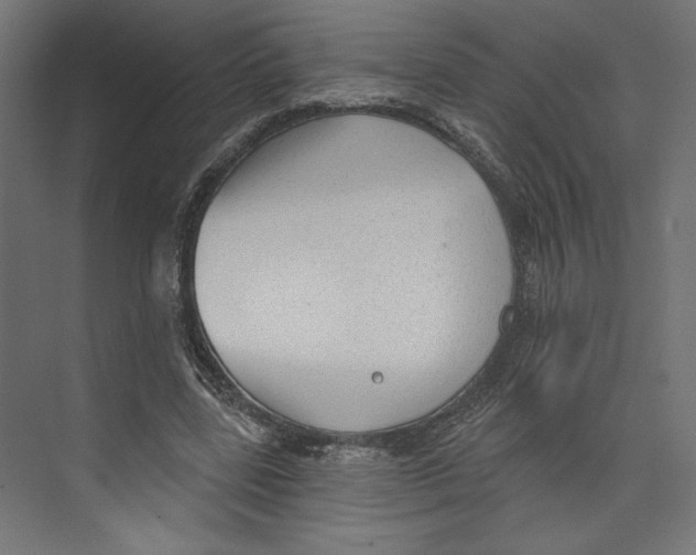 X0000073830539200609071517