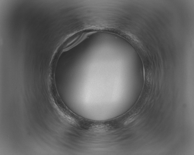 X0000073830540200609071517