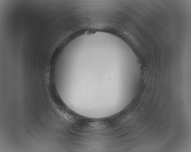 X0000073830544200609071517