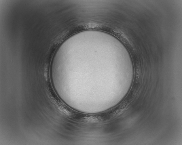 X0000073830545200609071517