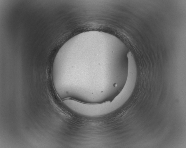 X0000073830546200609071517