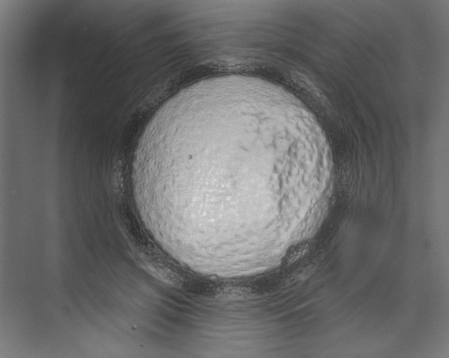 X0000073830549200609071517