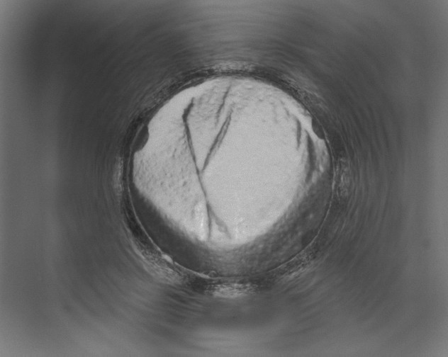 X0000073830550200609071517