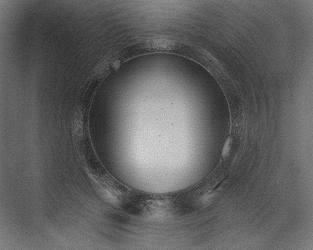 X0000073830552200609071518