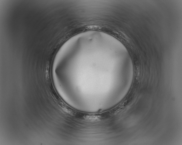 X0000073830553200609071518