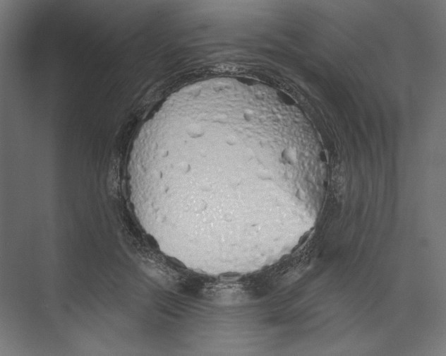 X0000073830554200609071518