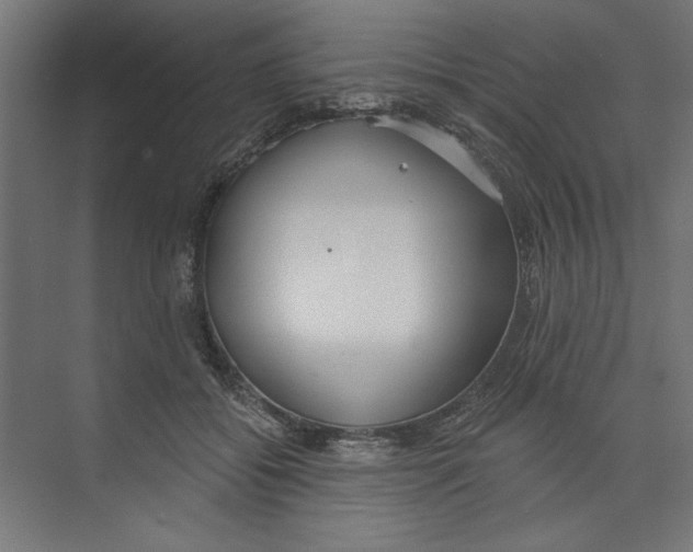 X0000073830556200609071518