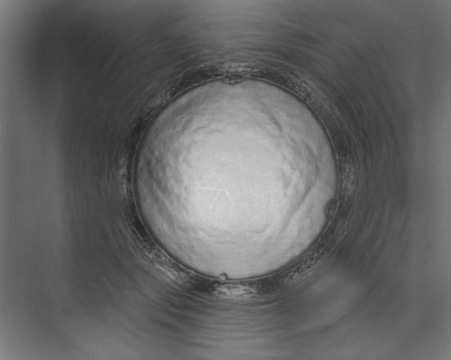 X0000073830557200609071518