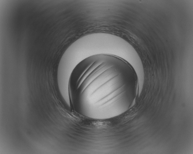 X0000073830558200609071518