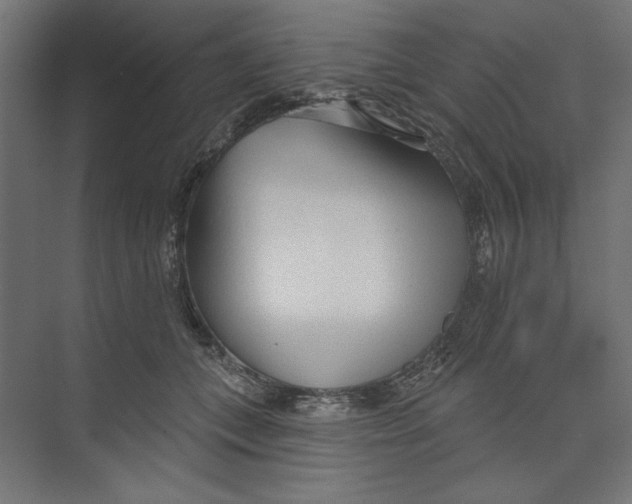 X0000073830559200609071518