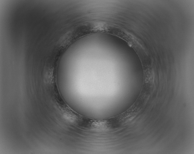 X0000073830560200609071518