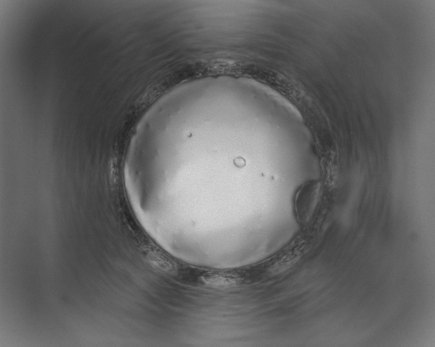 X0000073830561200609071518