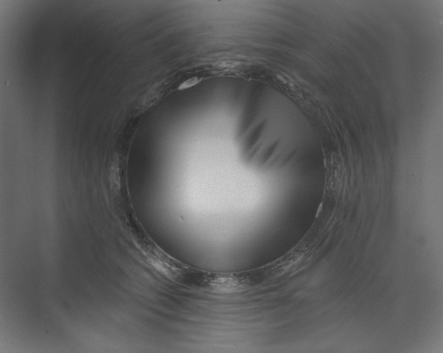 X0000073830562200609071518