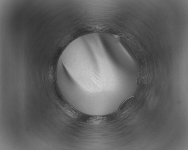 X0000073830563200609071518