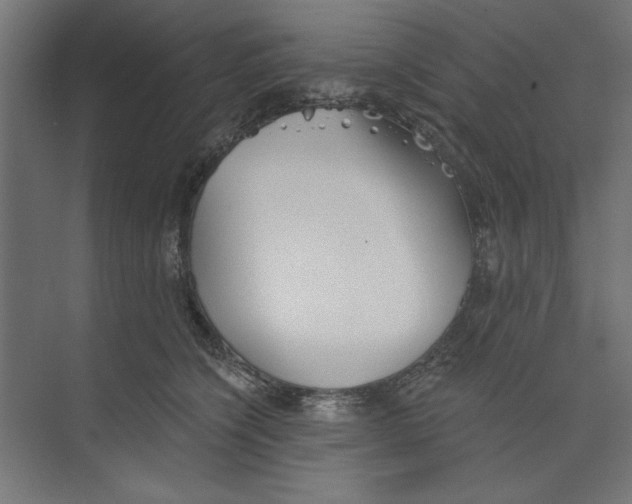 X0000073830564200609071518