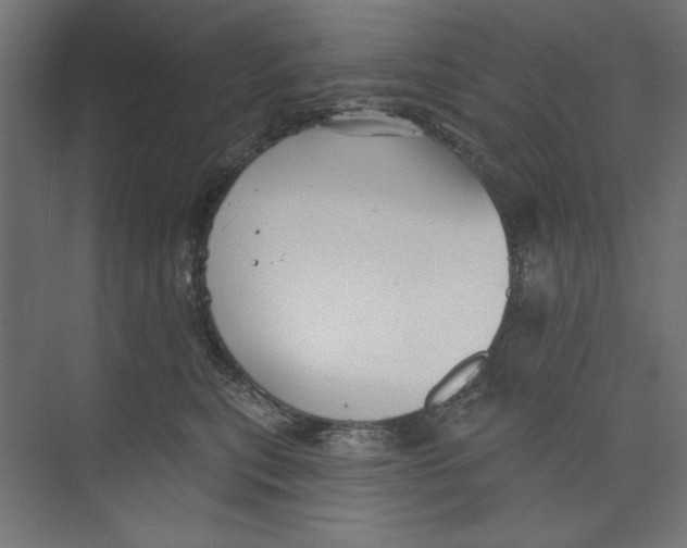 X0000073830567200609071518