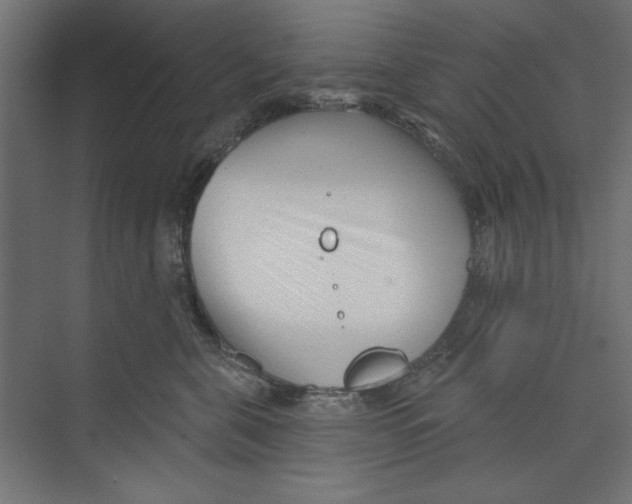 X0000073830571200609071518