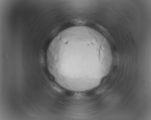 X0000073830573200609071518