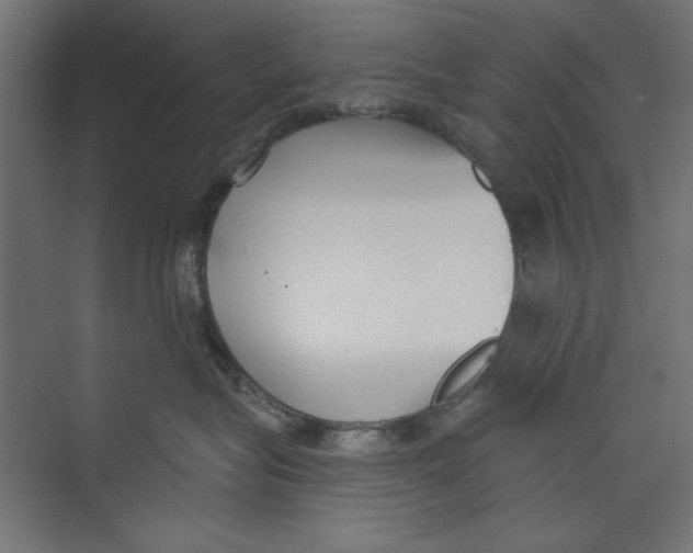 X0000073830575200609071518