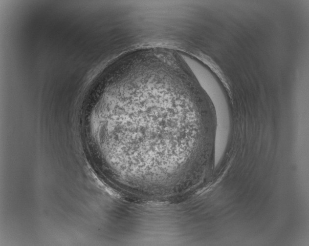 X0000073830577200609071517