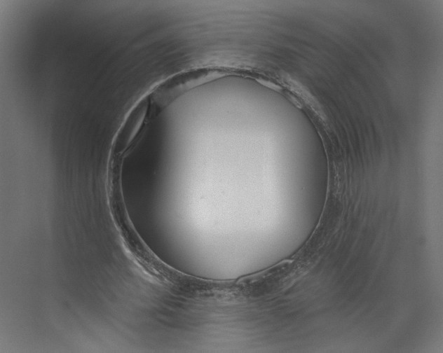 X0000073830580200609071517