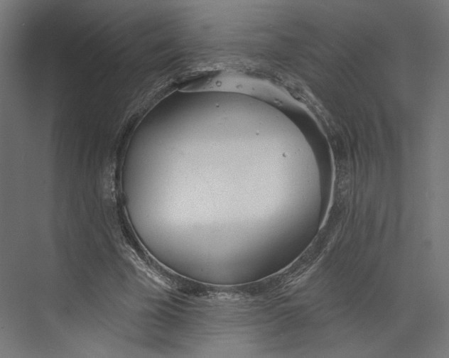 X0000073830585200609071517