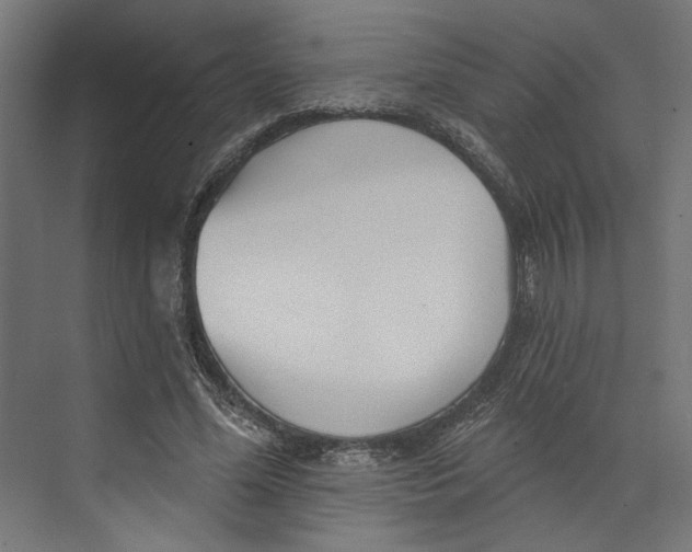 X0000073830588200609071517