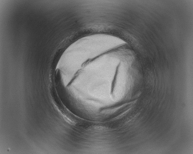 X0000073830590200609071517