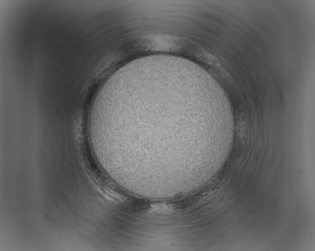 X0000073830591200609071517