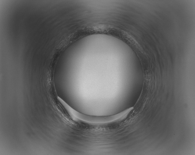 X0000073830593200609071517