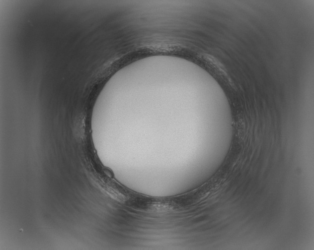 X0000073830596200609071517