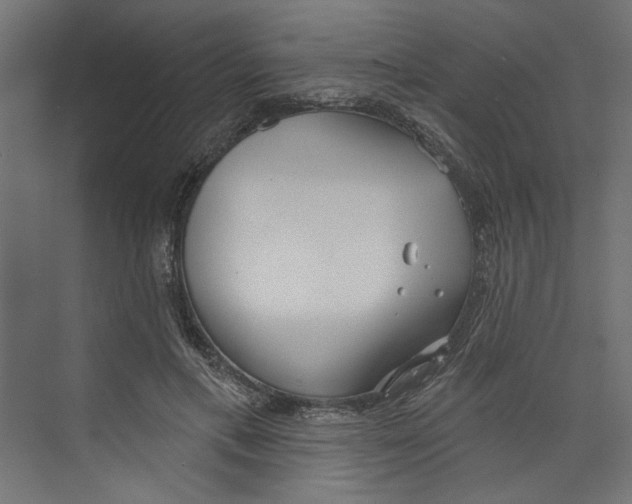 X0000073830597200609071517