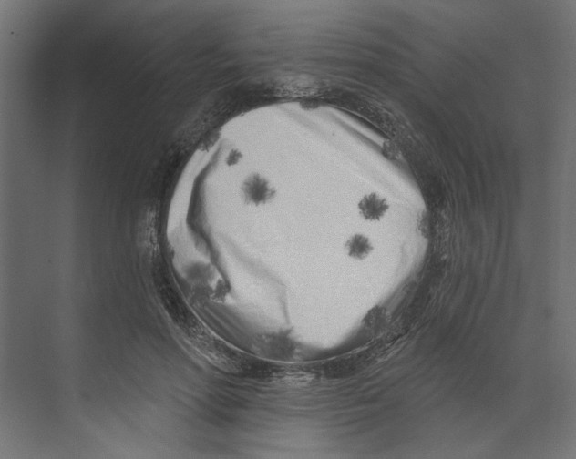 X0000073830598200609071517