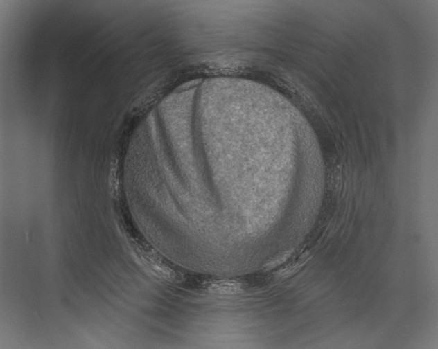 X0000073830599200609071517