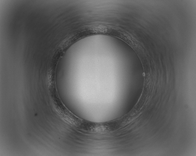 X0000073830600200609071517