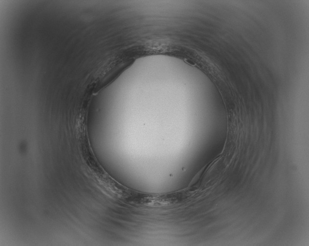 X0000073830601200609071517