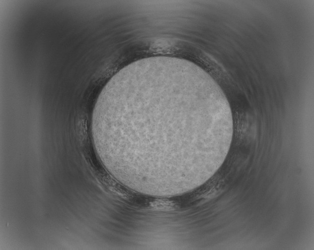 X0000073830603200609071517