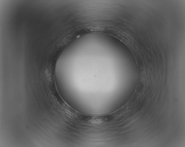 X0000073830604200609071517